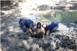 Animal rescue in mud