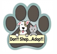 Screenshot 2024-09-03 at 1.34.04 PM