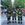 3 firefighters