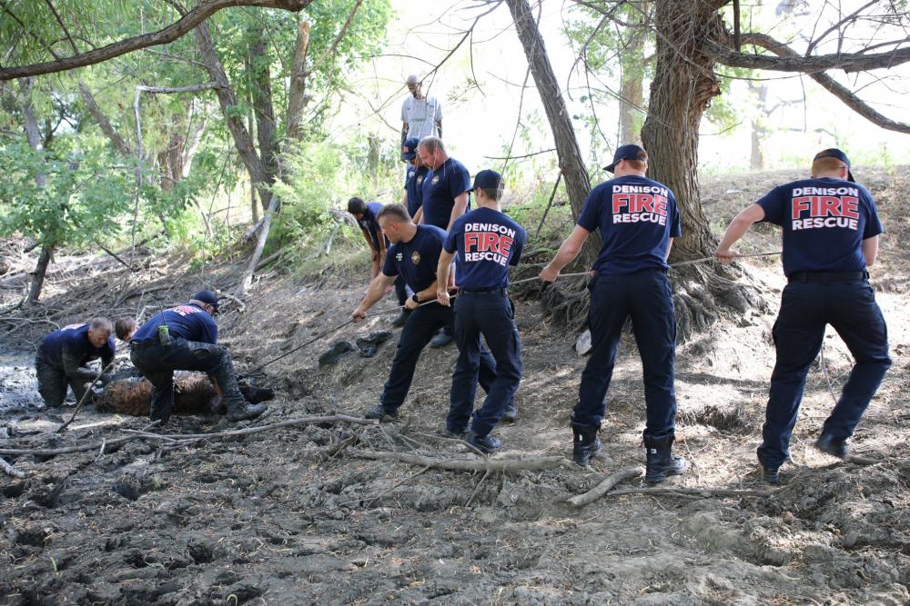 Fire Rescue in Woods