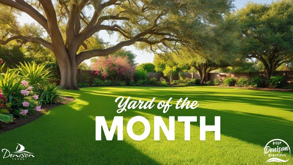Yard of the Month (6)