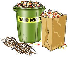 Yard Waste Examples