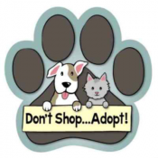 A cartoon cat and dog with a banner that reads "Don't shop...adopt!"